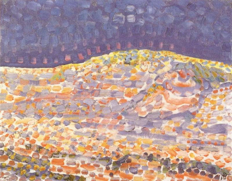 Piet Mondrian Dune oil painting picture